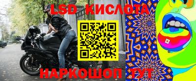 PSILOCYBIN Гусев