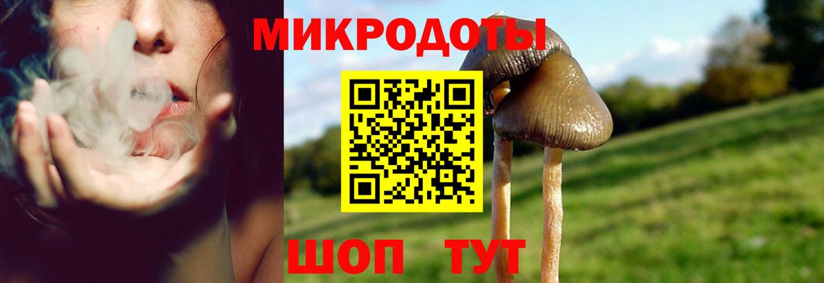 Псилоцибиновые грибы Magic Shrooms Миасс